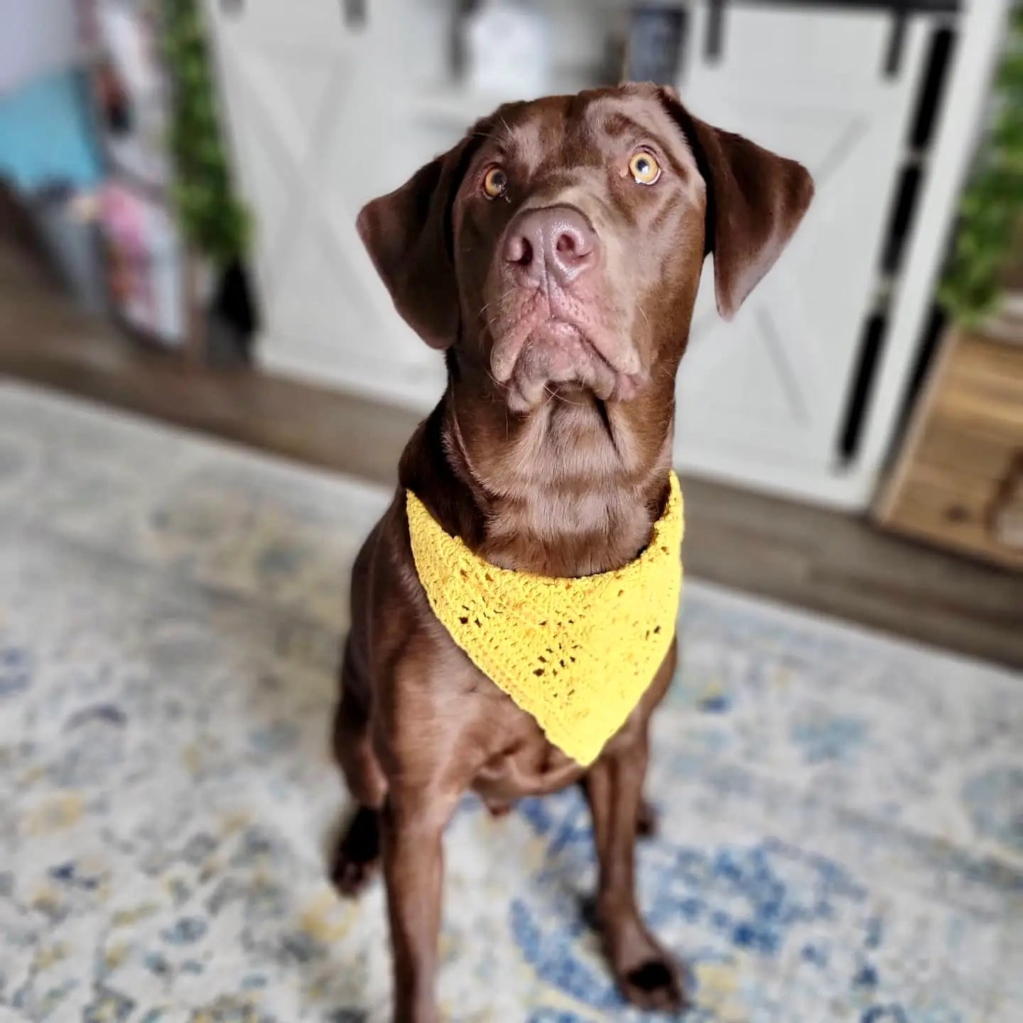 Sweet Sage Bandana Crochet Pattern