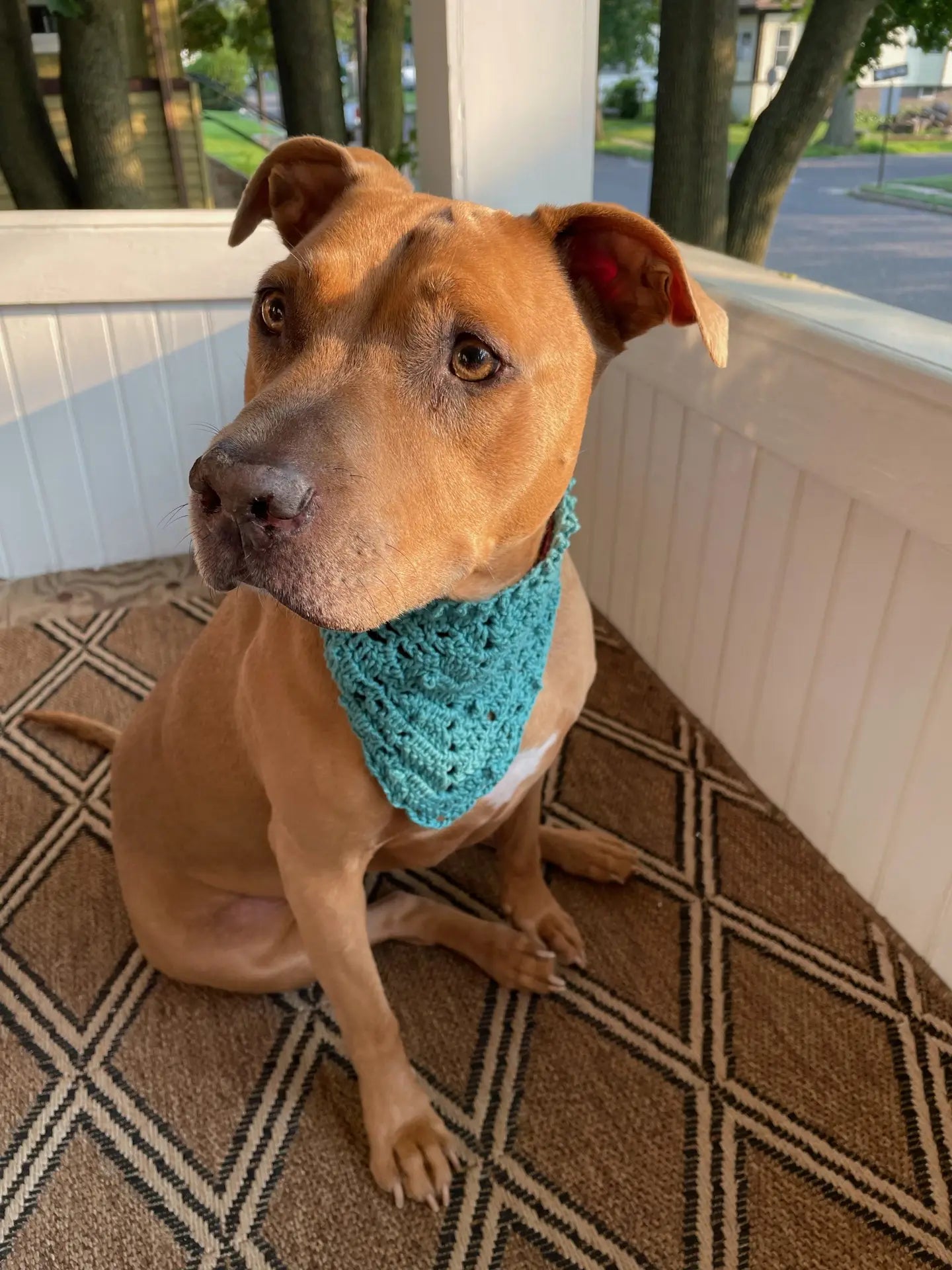 Sweet Sage Bandana Crochet Pattern
