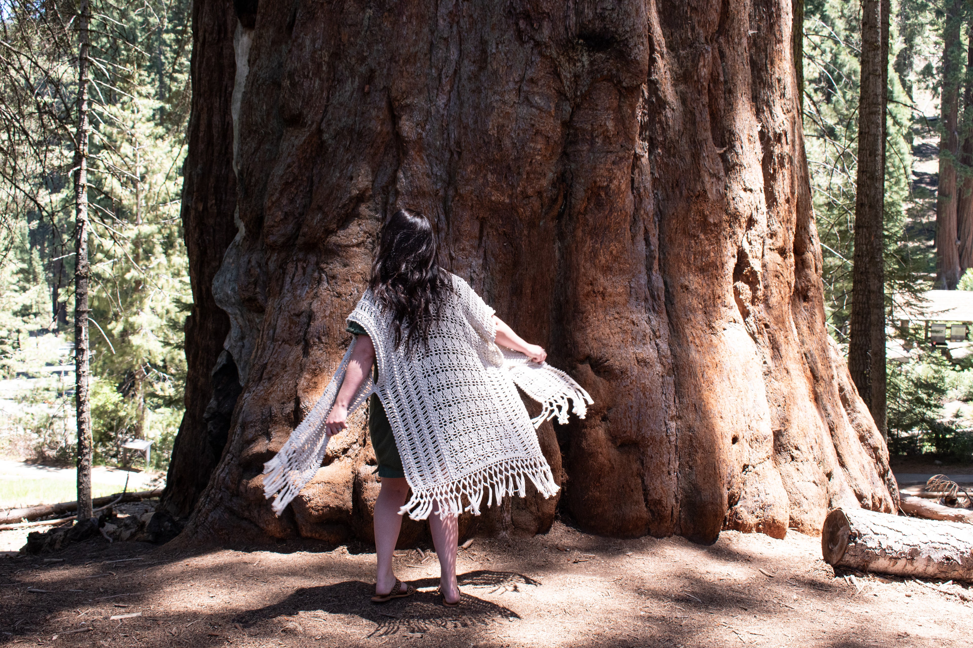 Person standing next to a large tree in a forest