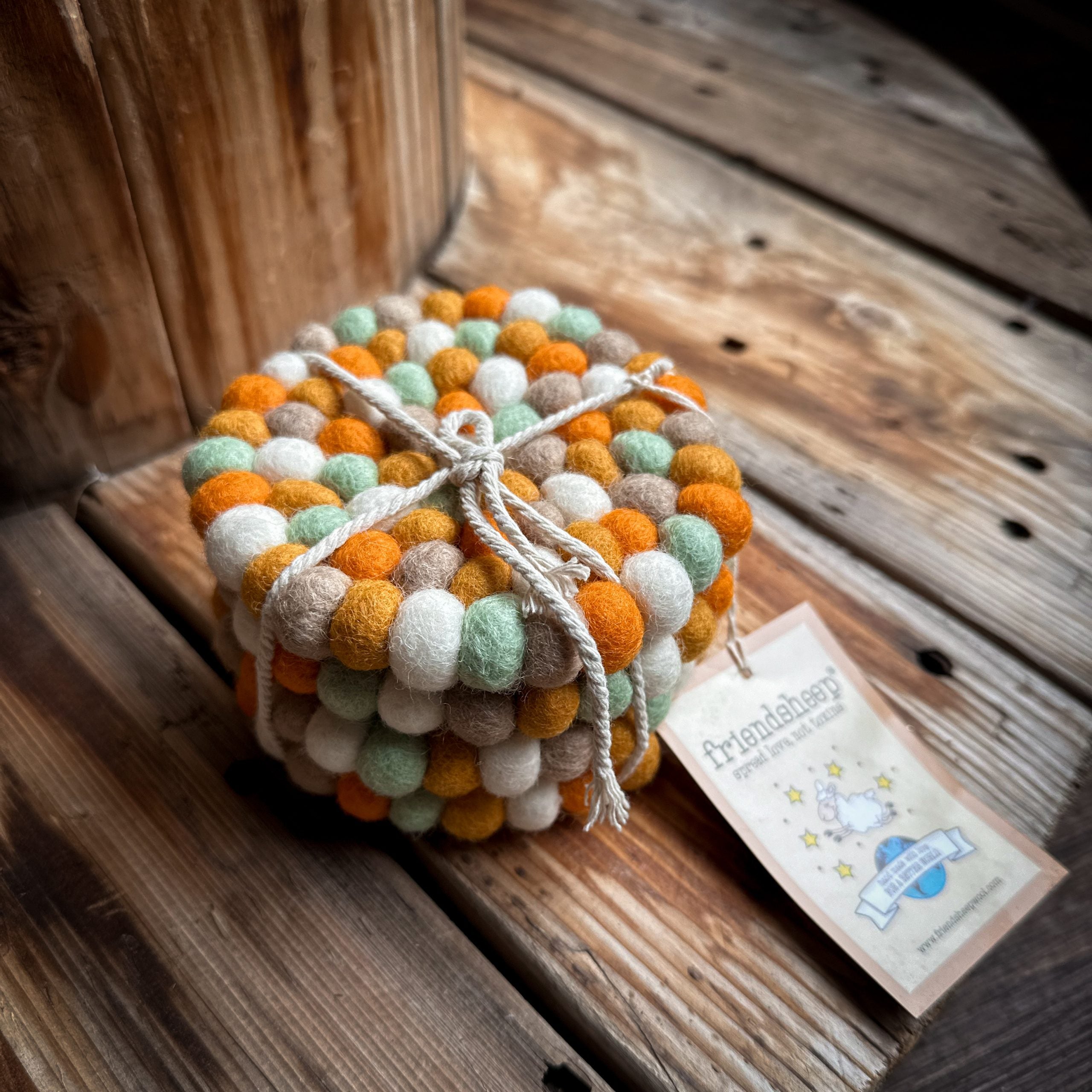 Eco Trivet & Coasters by Friendsheep | Pumpkin Patch