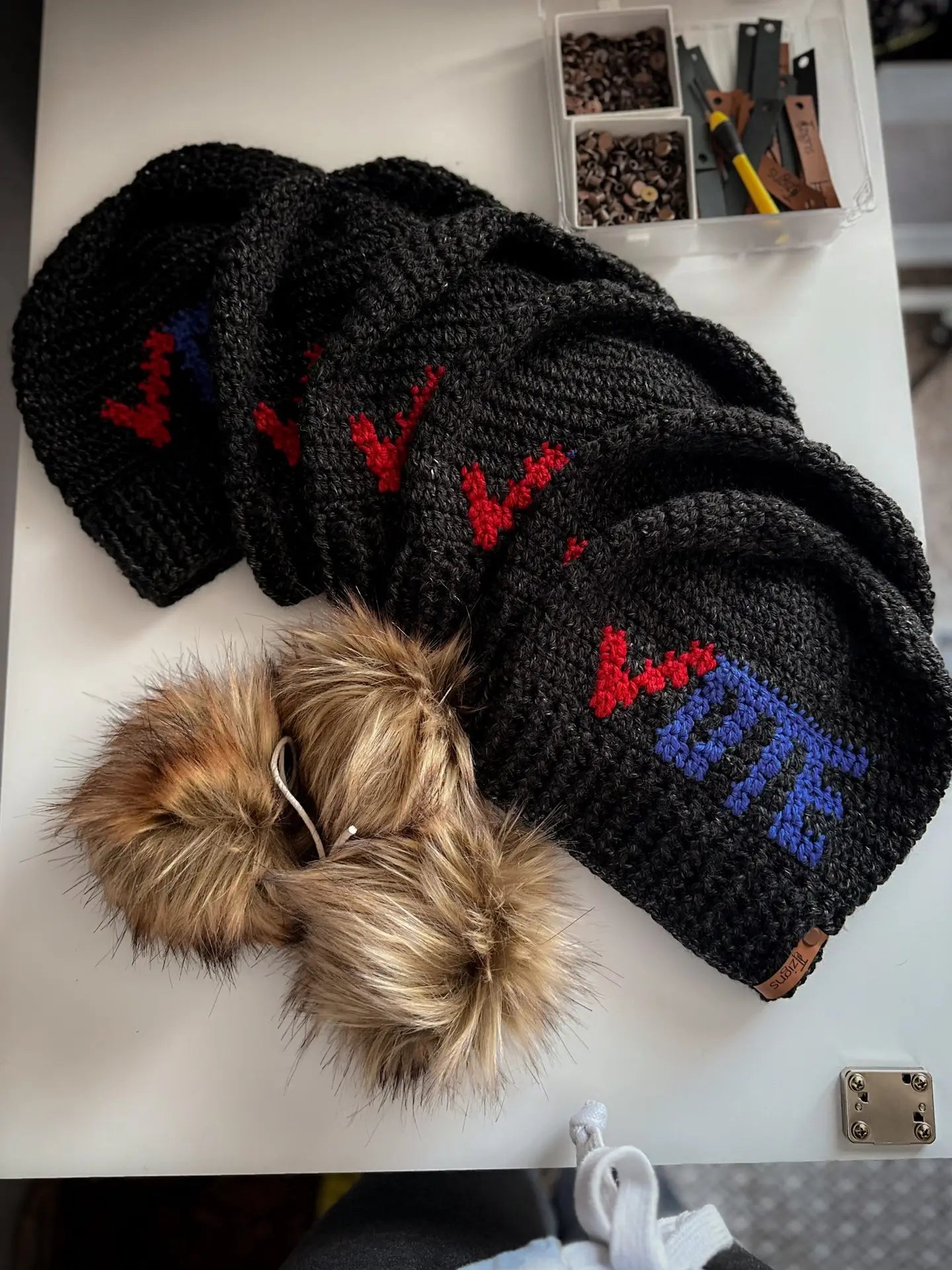 Vote Beanie (2 colors)
